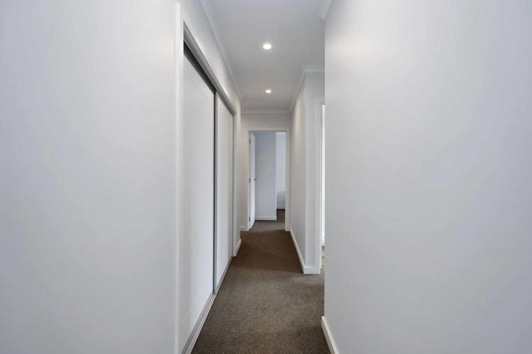 76A Thomson Street Tinwald_15
