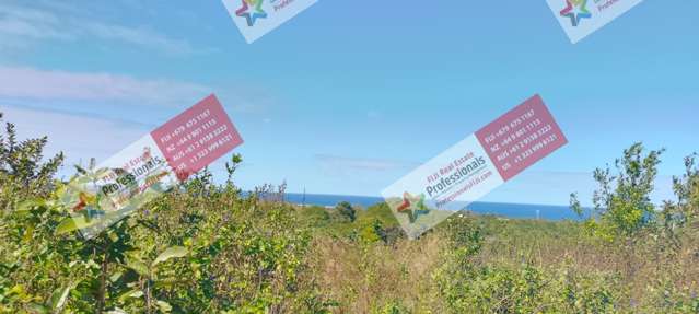 Address withheld Sigatoka_2