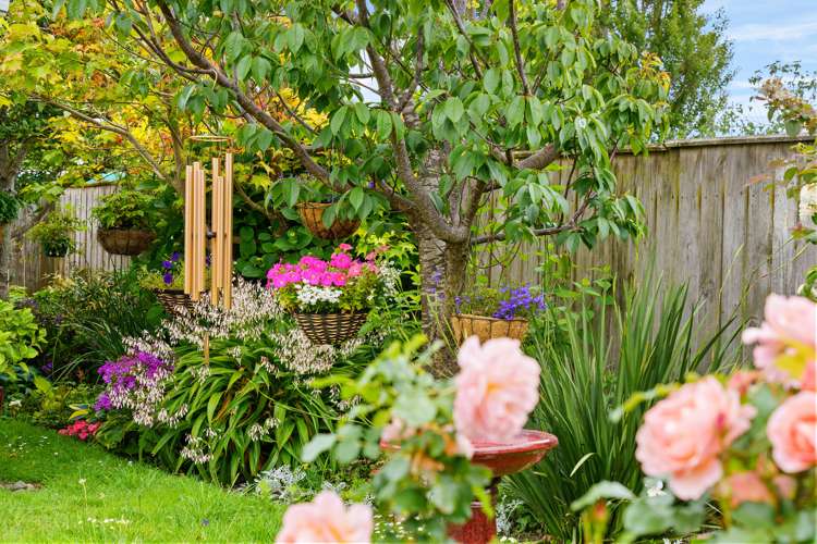 2 Mclaren Place Otaki_22