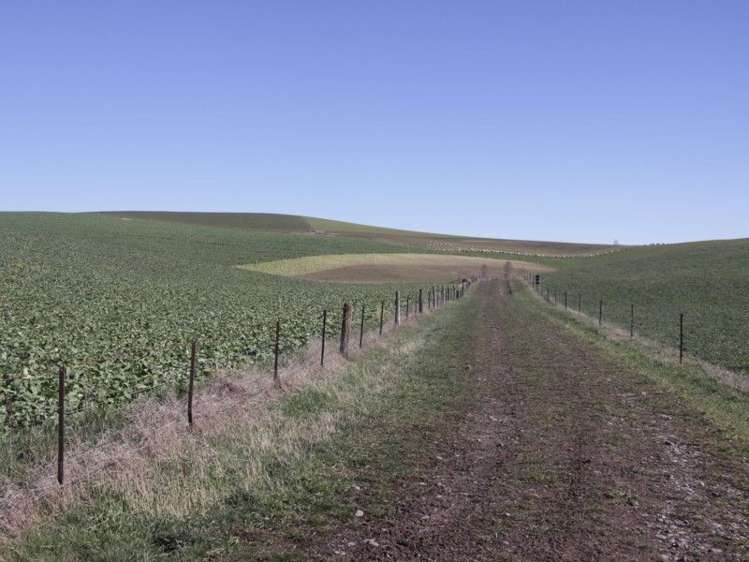 211a Mouse Point Road Culverden_10