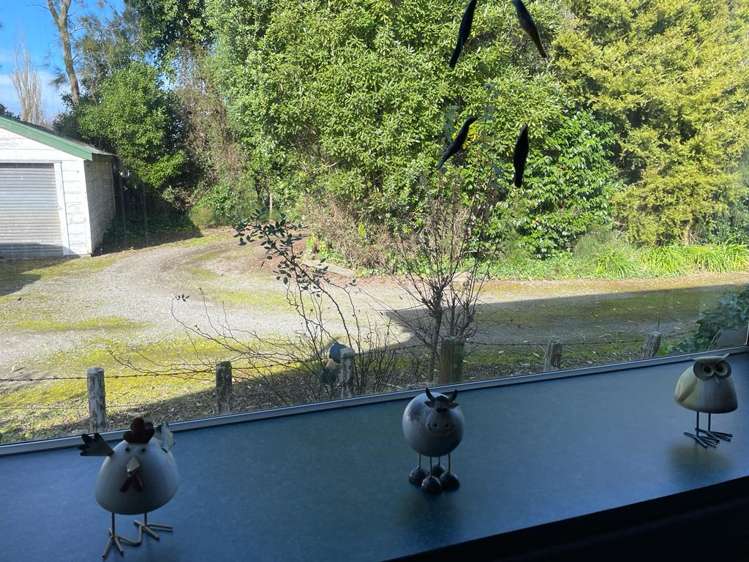 347 Campbell Road Bunnythorpe_7