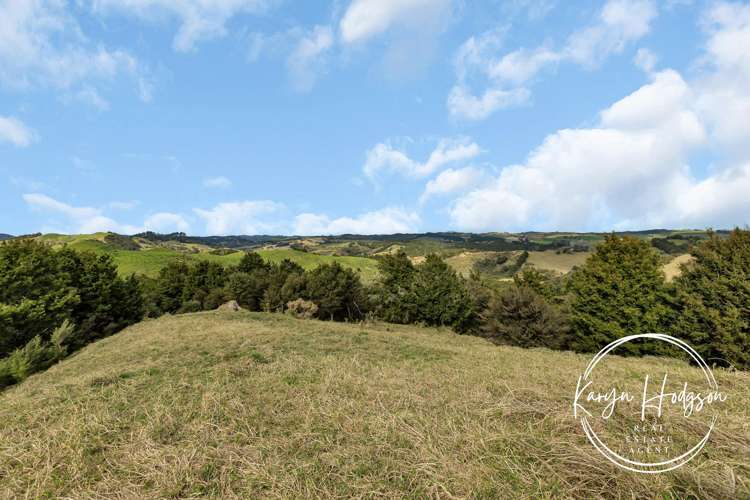 897 Bull Road Paparoa_15