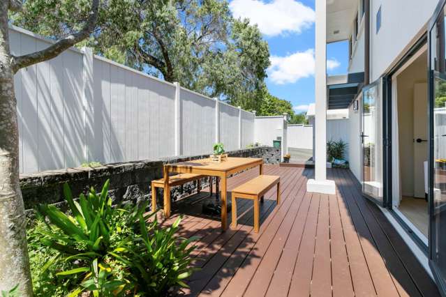 2a Westminster Road Mount Eden_1