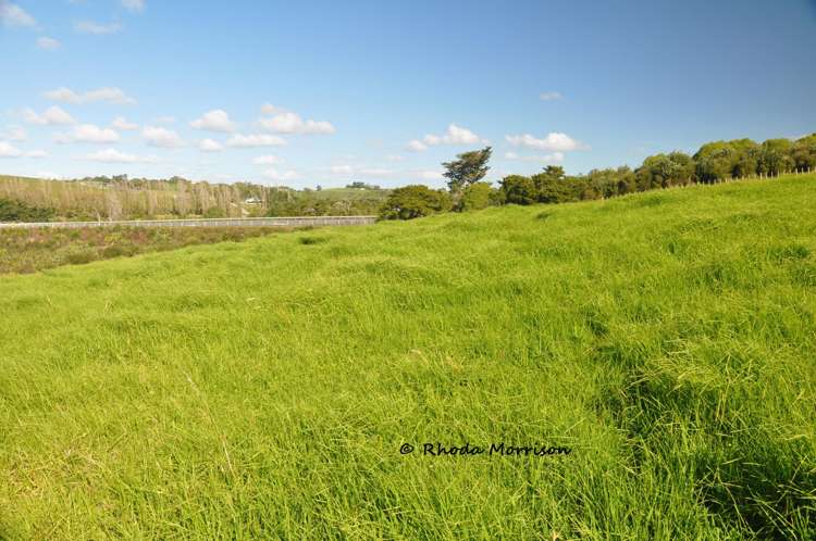 113 Te Rawhiti Road Matakohe_72