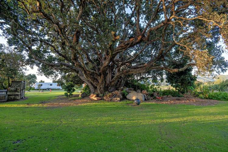 36 Te Ara Ki Kairuru Road Opotiki Surrounds_17