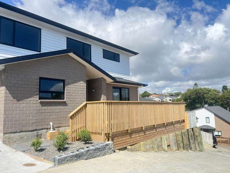 White Swan Road Mt Roskill_1