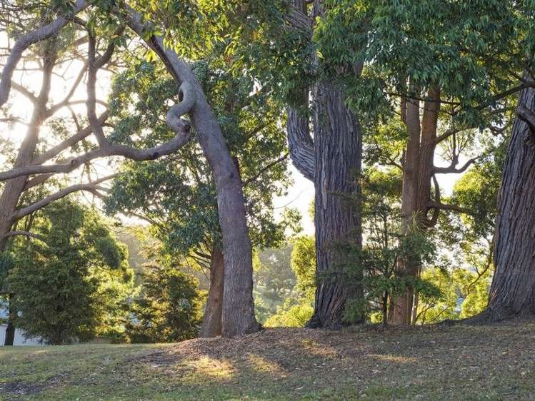 1h George Street Newmarket_21