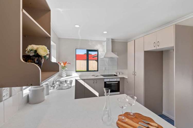 51b Halver Road Hillpark_7