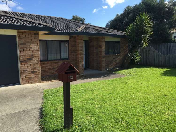 103 Palmers Road Clendon Park_9