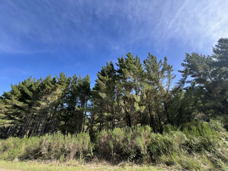 Lot . Red Jacks Road Ngahere_3