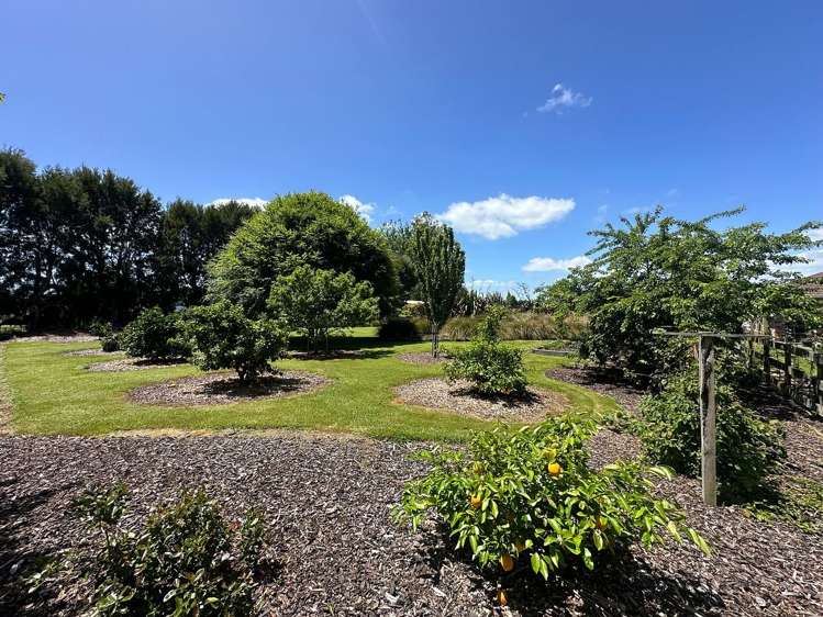 159 Tauwhare Road Tamahere_16