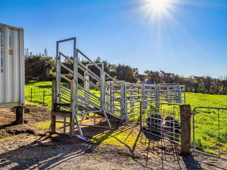 533 Wainui South Road Whakamarama_32