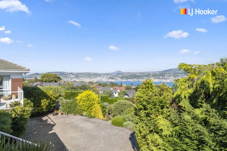 115 Belford Street Waverley_19