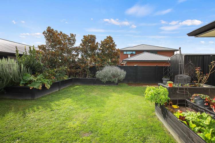 11 Robin Azariah Place Te Kuiti_11