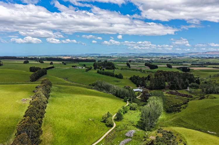 144 Block Road Pukeawa_8