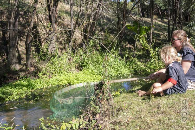 231 Waitakere Road Taupaki_33