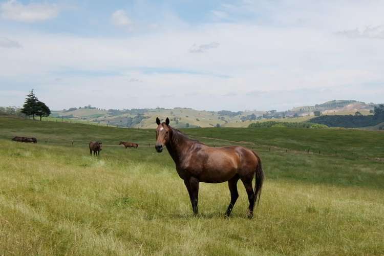 105 Taotaoroa Road Karapiro_21