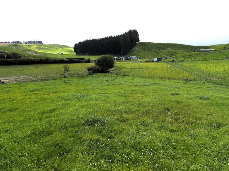 94 Glengarry Road Dannevirke_28