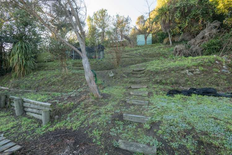 49 Murphy Street Toi Toi_8