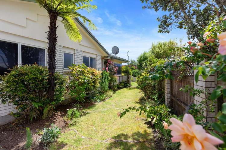 1 Fahey Ave Mount Maunganui_17