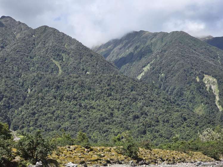 438 Poerua Valley Road Harihari_21