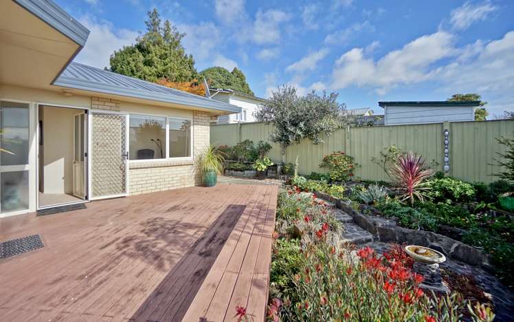 3b Otawa Street Te Puke_14