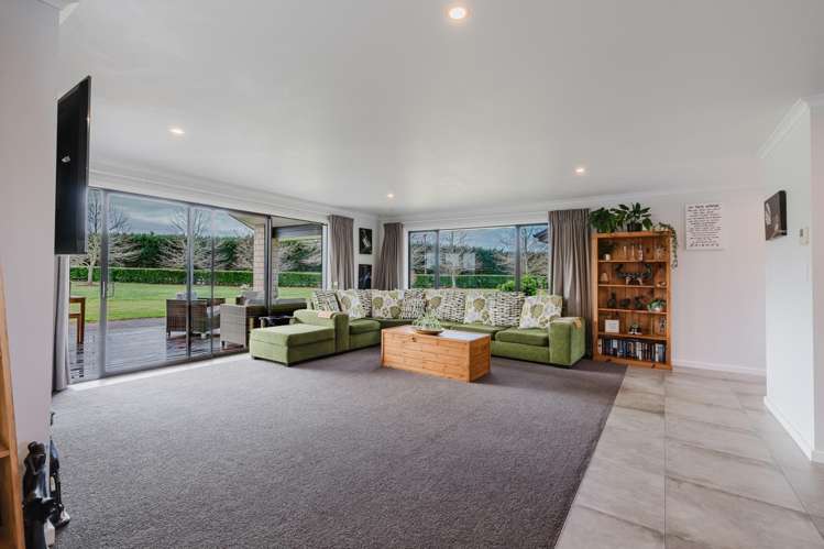 86 Taplin Road Matangi_8