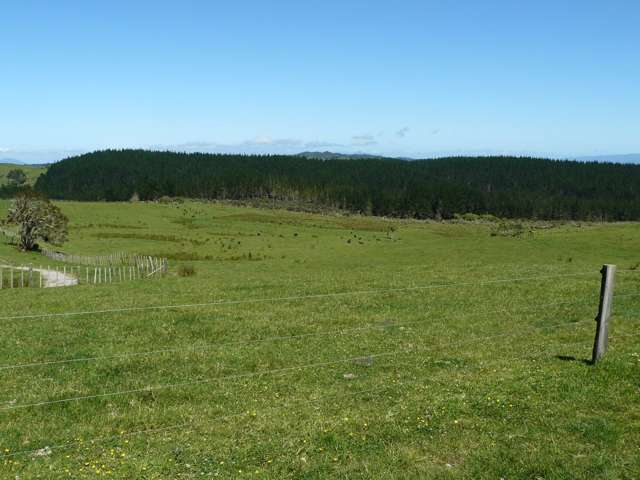 658 Lake Road Kaikohe_2