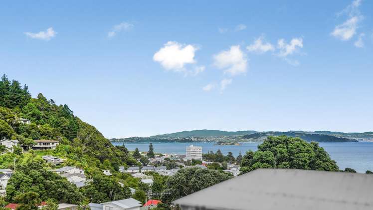 27 Totara Street Eastbourne_1