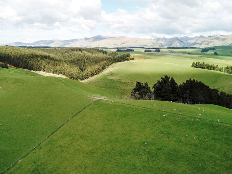 171 Monavale Road Albury_20