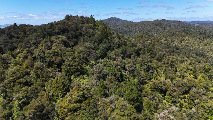 Otangaroa Side Road Kaeo_7