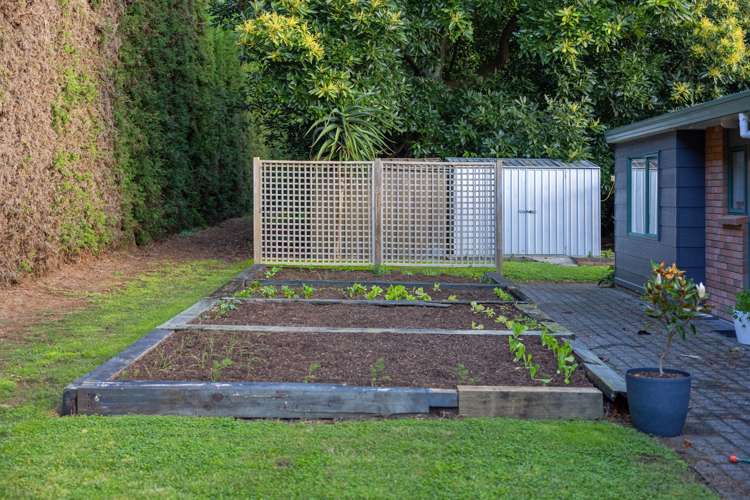 41 I'Anson Road Wairoa_23