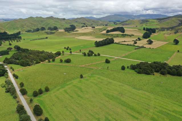 172 Kakariki West Road Eketahuna_1