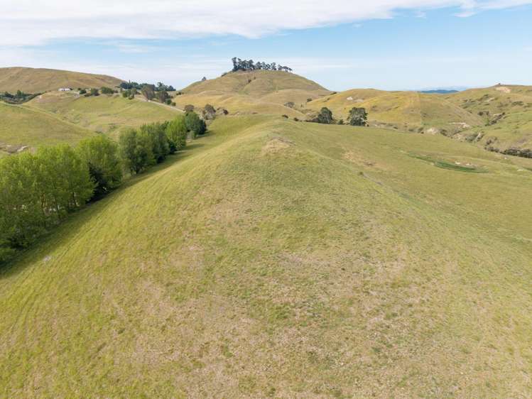 Lot 2, DP 566738, Kawera Road Hastings_20