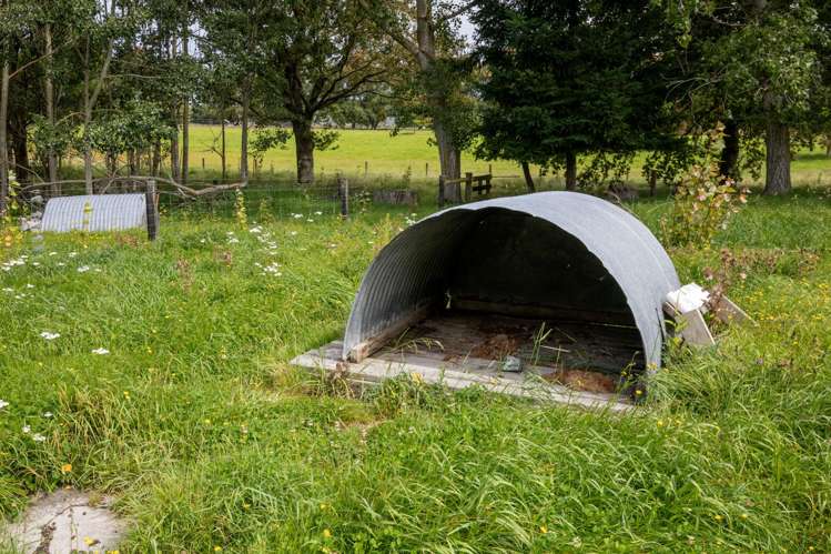 657 Domett Road Domett_36