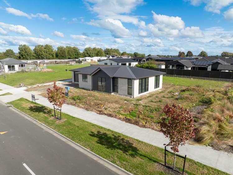 22a Tokotoko Parade Matamata_6