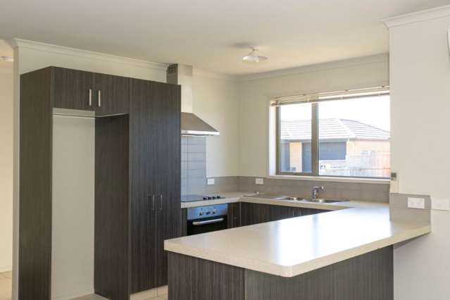 8 Olwyn Place Blenheim Central_2