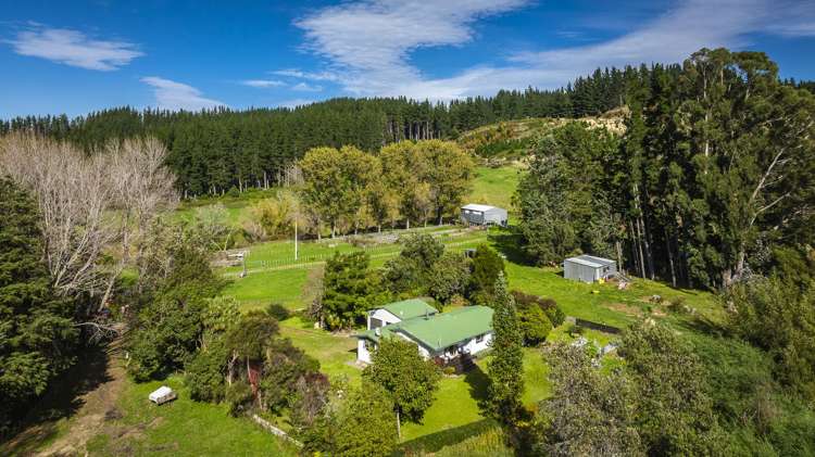 888 Kakariki Farm Road Kotemaori_26