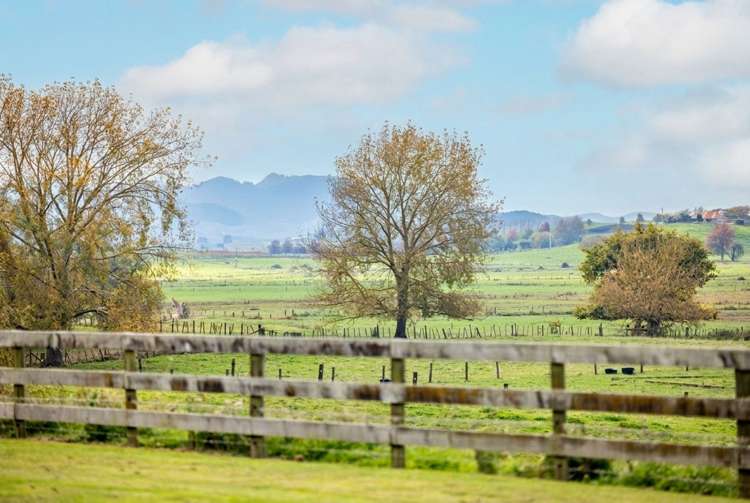 242 Waring Road Taupiri_29