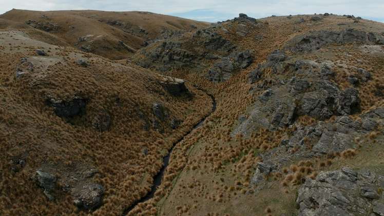 755-971 Linnburn Runs Road Paerau_41