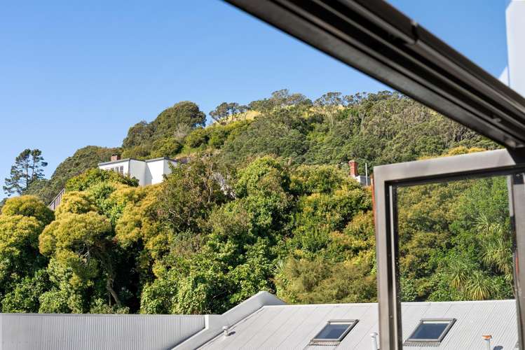 6/13 Coles Avenue Mount Eden_14