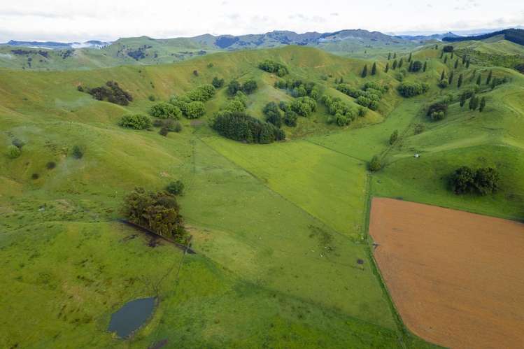 Lavenham Road Waituhi_8