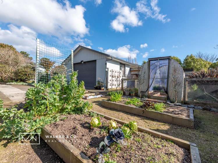 6 Paton Street Maymorn_18