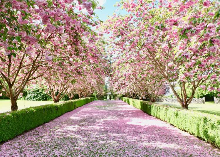 201 Lochiel Branxholme Road Winton Surrounds_20