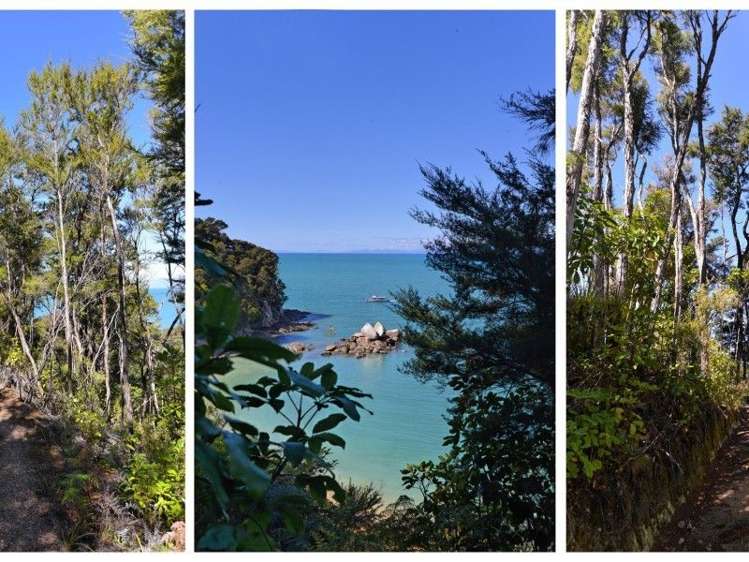 8 Moonraker Way Kaiteriteri_11