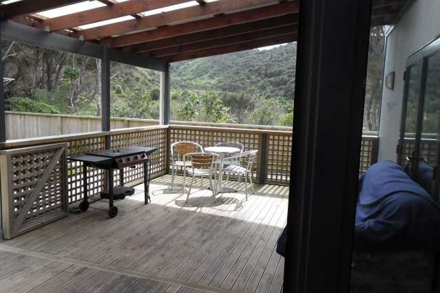 87 Mohaka Street 10629_2