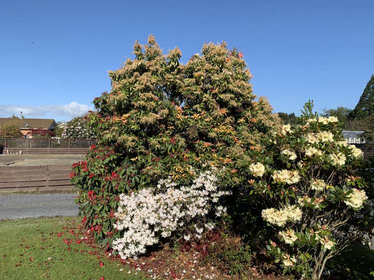 12 Crossleigh Crescent Balclutha_15