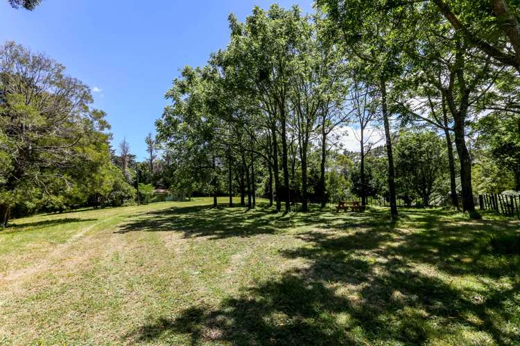 248 Surrey Hill Road Kaitake_2