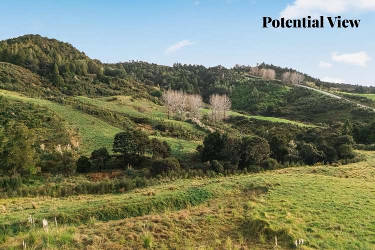 88 Waere Valley Lane_4