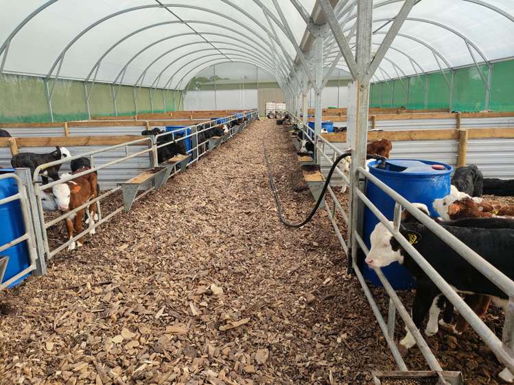 134 Longbeach Road Willowby_19